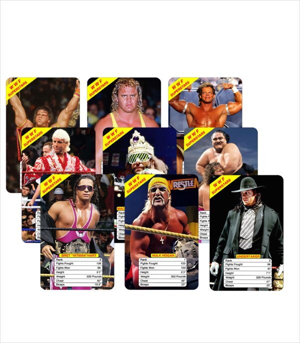 WWF 1993 wreslemania